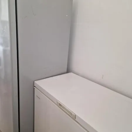Shared Apartment
